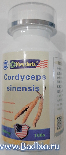 Кордицепс применяется при заболеваниях сердечно-сосудистой системы (ишемическая болезнь сердца, инфаркт миокарда, стенокардия,  аритмия и др. ), инсульт, респираторные  заболевания ( бронхиальная астма, туберкулез, эмфизема легких, пневмония, бронхит.